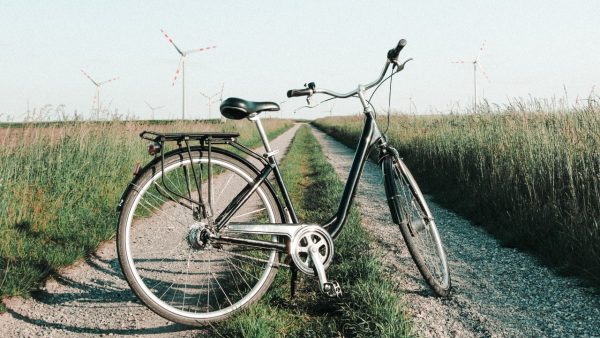 64-jarige Joke Reinhard vermist: 'Mam welk pad heb jij genomen?'