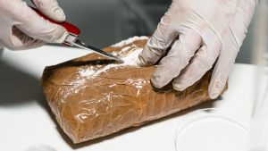Thumbnail voor Kilo's cocaïne en miljoenen euro's gevonden in boerderij in De Kwakel