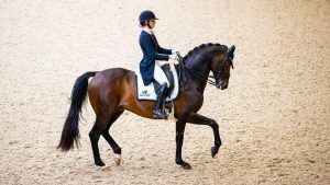 Thumbnail voor Dinja van Liere defintief niet met paard Hermès naar Tokyo door fout stagiair