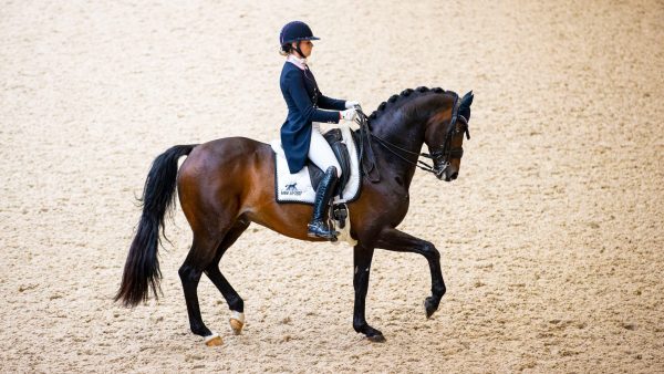 Dressuurruiter Dinja van Liere mag definitief niet met paard Hermès naar Olympische Spelen