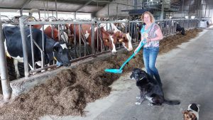 Thumbnail voor Mariska heeft een boerenfamiliebedrijf en is vóór protesteren: 'Dit is boertjes pesten'