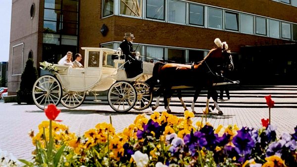 Een dronken automobilist reed Helene's koets aan