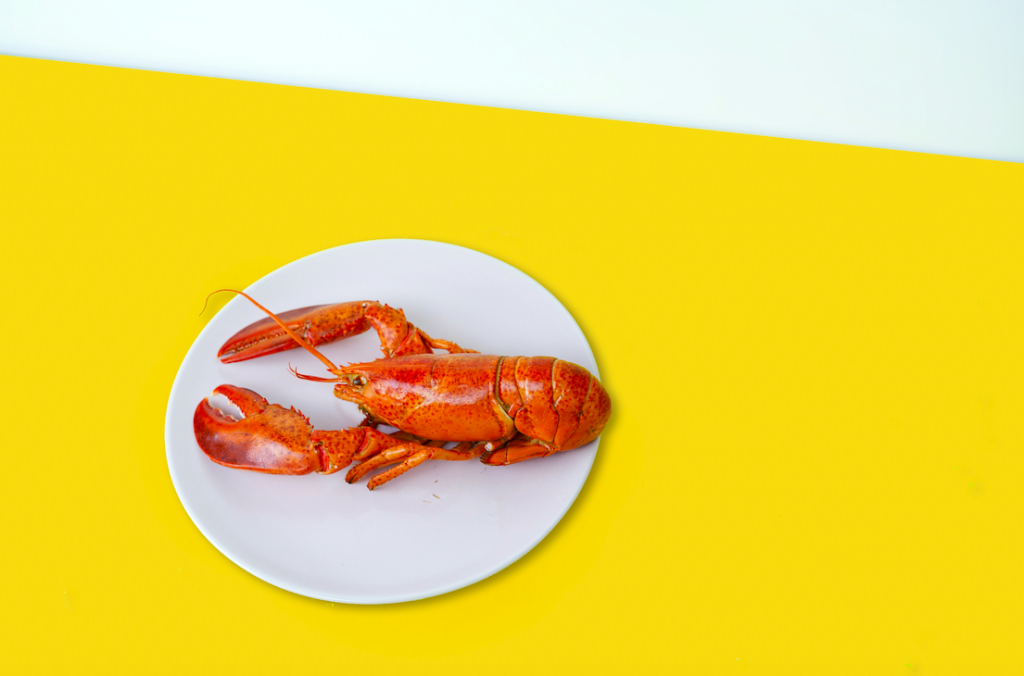 vissers vangen 11.000 krioelende kreeften in vijver