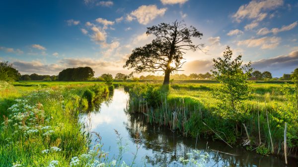 Het gebaande pad af: een roadtrip langs het groen van Groningen