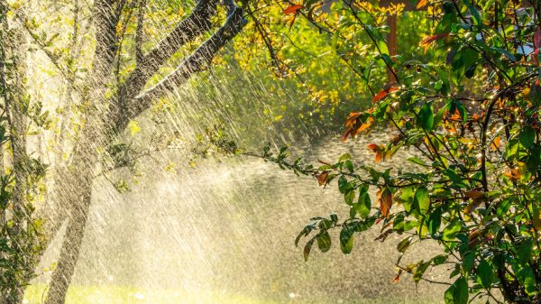 Rokjes en regenjassen_ zomers weekend, maar met flink wat gedonder-2