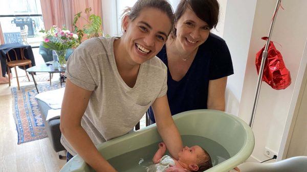 Kunstmatige inseminatie zaaddonor