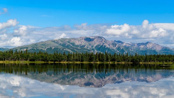 Waarschuwing voor tsunami na zware aardbeving bij Alaska