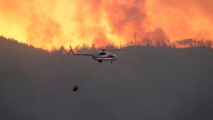 Thumbnail voor Verwoestende bosbranden in Turkije kosten vier mensen het leven: 'Veel dieren levend verbrand'