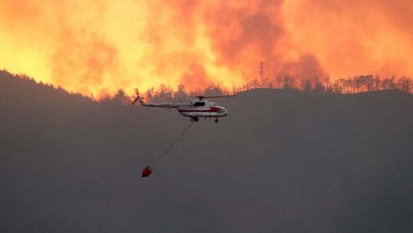 Turkije geteisterd door verwoestende bosbranden: 'Veel dieren levend verbrand'