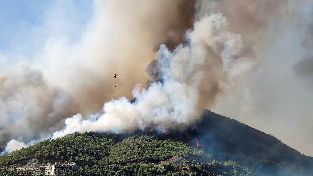 Turkije geteisterd door verwoestende bosbranden: 'Veel dieren levend verbrand'