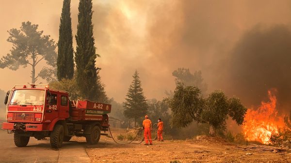 Turkije strijdt nog tegen bosbranden in populaire vakantiegebieden