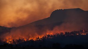 Thumbnail voor Duizenden evacuaties in Griekenland door hevige bosbranden