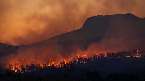 Duizenden evacuaties in Griekenland door hevige bosbranden