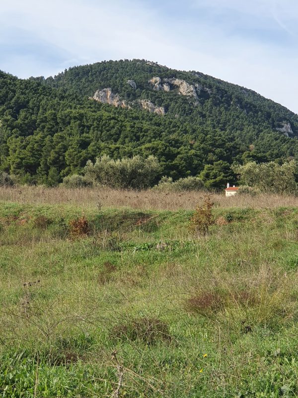 griekenland-athene-bosbranden