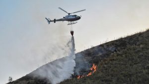 Thumbnail voor Bosbranden Zuid-Italië eisen weer levens, toeristen moeten zich voorbereiden op blijvende hitte