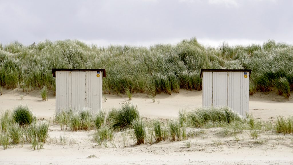 Jongeren opgepakt voor neersteken man (23) in Zeeuwse duinen bij Groede
