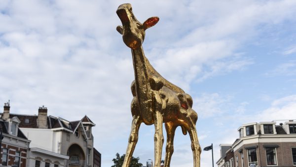 genderneutraal gouden kalf