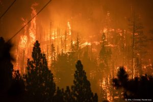 Thumbnail voor Duizenden Californiërs op de vlucht voor alles verwoestende bosbranden