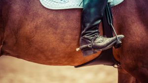 Thumbnail voor Silke verkocht haar paardrijlaarzen via Marktplaats: 'Hij wilde ze schoonlikken'