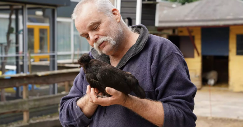 John de Haan vindt dikke envelop voor zijn kinderboerderij: 'Kippenvelmomentje'
