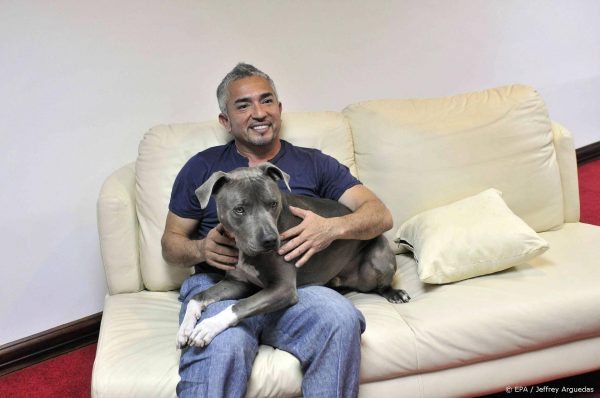 Hondenfluisteraar Cesar Millan aangeklaagd om agressieve pitbull