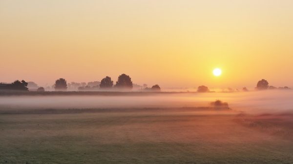 Dichte mist reden voor code geel in midden en westen van het land