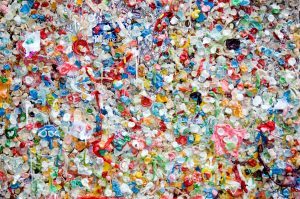 Thumbnail voor Statiegeld is succes: minder plastic flesjes op World Cleanup Day