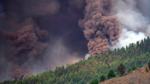 Thumbnail voor Vulkaan barst uit op Canarische eiland La Palma, Nederlandse toeristen niet in gevaar