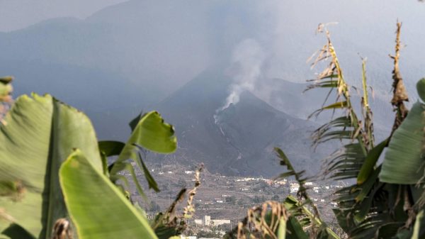 la palma