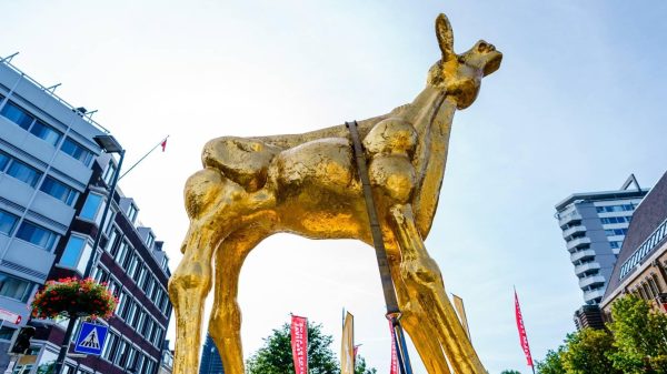 Gouden Kalveren verdeeld over 'Slag om de Schelde' en 'De Veroordeling'