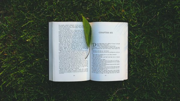 Deze romanschrijver won de Nobelprijs voor Literatuur