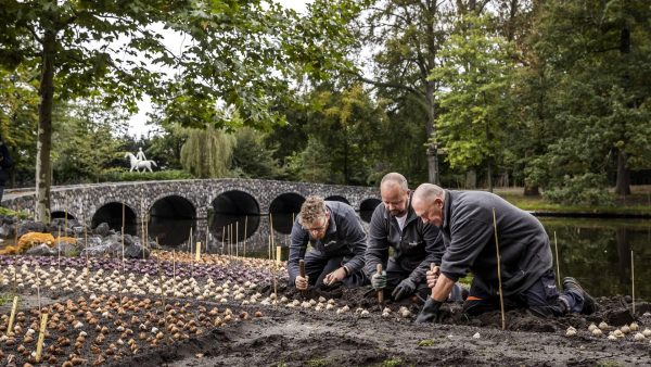 De Keukenhof opent deuren aankomend jaar voor 45.000 bezoekers per dag