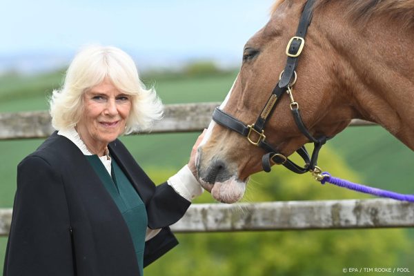 Hondjes van Camilla zijn gezicht van campagne (ze zijn ook heel cute)