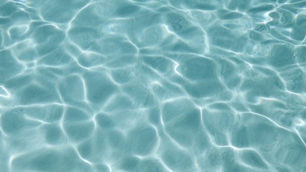 kleuter verdronken zwembad Ammerzoden