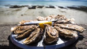 Thumbnail voor Oesters plukken in 't wild? Zo doen jij en je schroevendraaier dat gewoon zelf