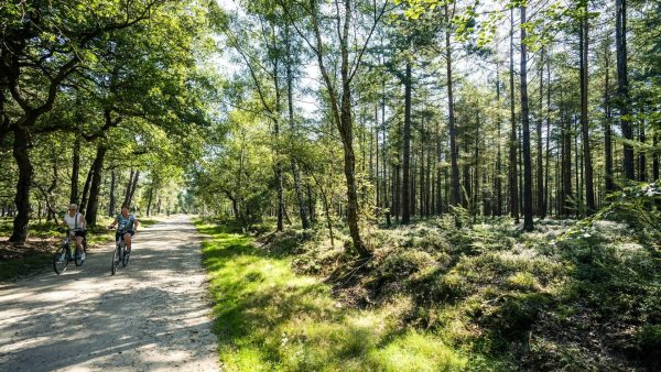 Koning jaagt een dagdeel per jaar op Kroondomein