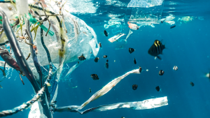 Thumbnail voor Testfase Ocean Cleanup is succes: bijna miljoen kilo afval geruimd