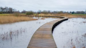 Thumbnail voor 5 x prachtige vlonderpaden voor een avontuurlijke winterwandeling