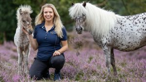 Thumbnail voor Nynke en haar minipaardjes bezoeken ouderen in verzorgingshuizen: 'Ze bloeien op'