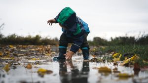 Thumbnail voor Pak je sjaal (én plu): na het weekend duikt temperatuur omlaag