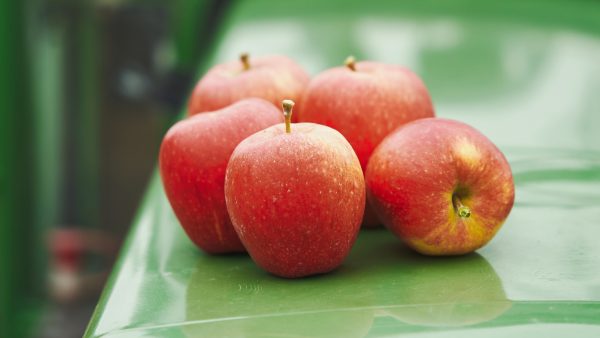 Ze is zoet, rood én knap(perig): deze nieuwe appel wil je proeven