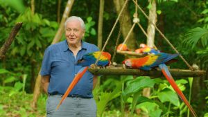 Thumbnail voor Fans van bioloog David Attenborough (95) boos op mondkaploze Boris Johnson