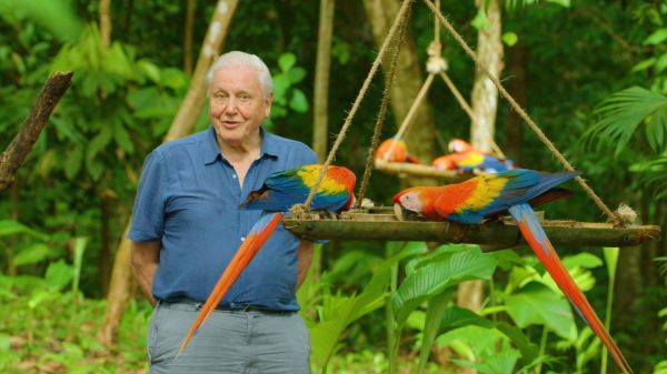 Fans van bioloog David Attenborough (95) boos op mondkapjesloze Boris Johnson