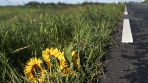 Thumbnail voor Ouders doodgereden Tamar (14) uit Marken naar rechter om vervolging