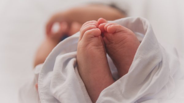 Ivf-kliniek VS verwisselt embryo's, ouders voeden elkaars baby op