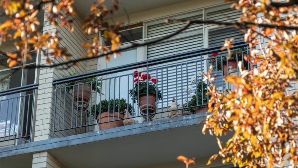 Niet Doorvertellen Sierra jongen balkon