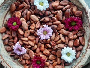 Thumbnail voor Cacaoceremonie: geen chocoladeletters, maar 'gronden en verbinden met jezelf'