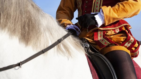 Sinterklaas intocht