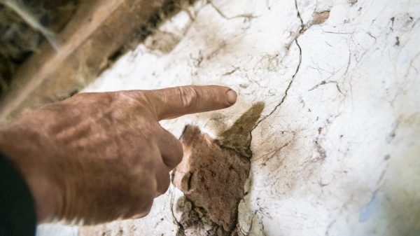 Belangengroep organiseert fakkelactie na aardbeving in Garrelsweer