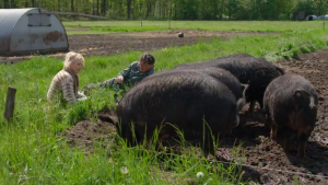 Thumbnail voor Veearts Kees moet tijdens varkenspest duizenden biggen ruimen: 'Heb een schuld in te lossen'
